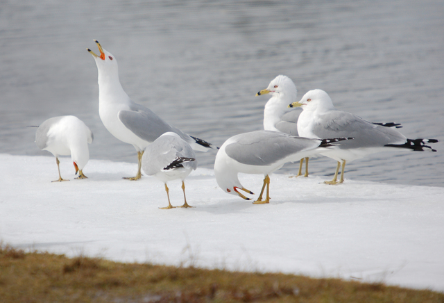 The test and the learning curve