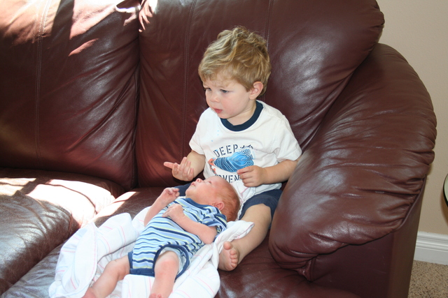 My brother Dylan was born.