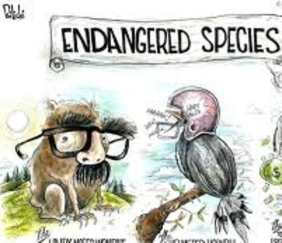 Convention on International Trade in Endagered Species