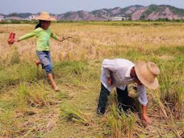 1st Job That Sean Son Had