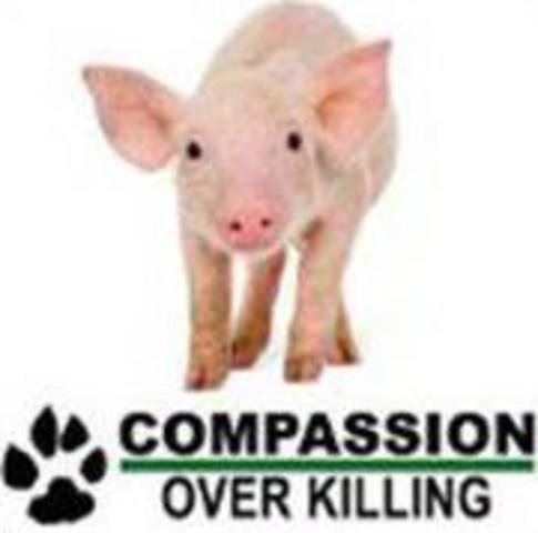 Compassion Over Killing is founded.