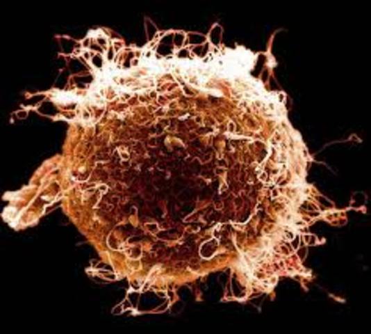 This is me during the conception