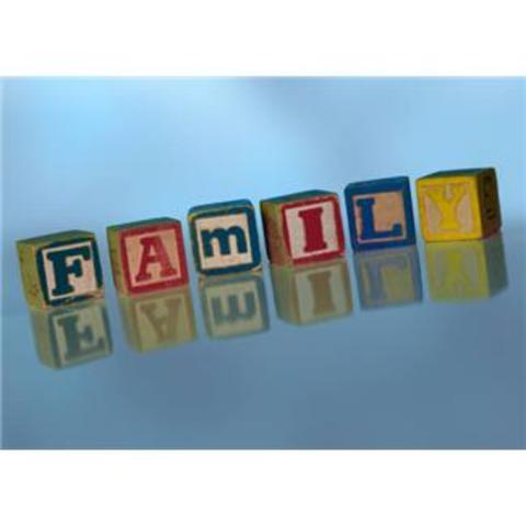 FLT at 30: A Workshop on the Transformation of the Family and the Recognition and Regulation of Private Lives