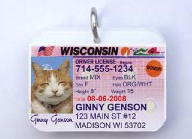 Yo recibé mis licencia en January 2013.