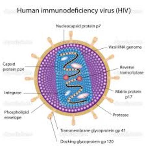 HIV