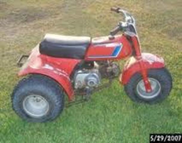Three wheeler