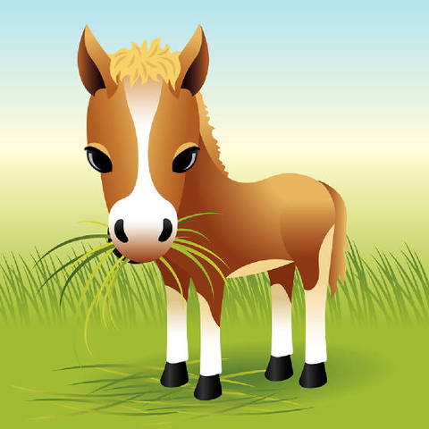 Yo monté a caballo en south dakota.