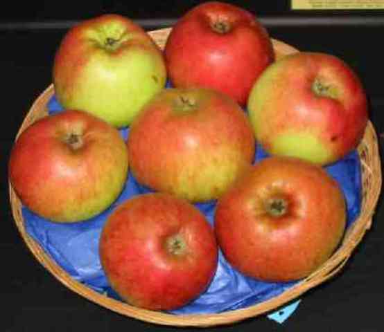 Pasar Besar di Jakarta