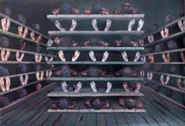 American Colonization Society was established to transport free blacks back to Africa.