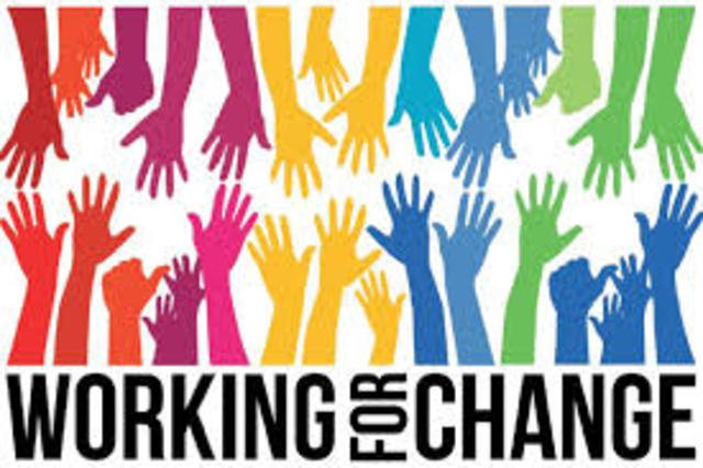 Working Chef, Computer programmer or Engineer