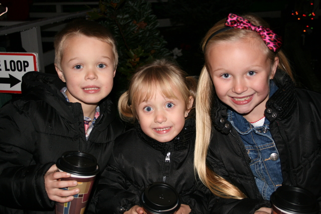 Christmas Train 2013