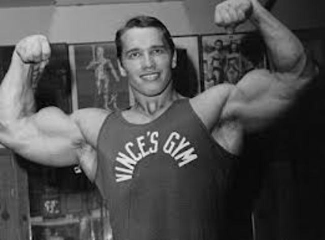 Arnold Austrian heavyweight undisputed champion