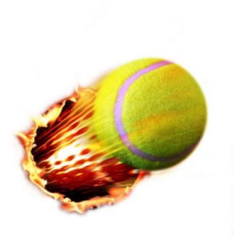 The fastest ever recorded speed of a tennis ball