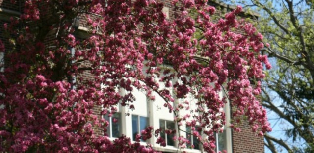 Primer día de escuela