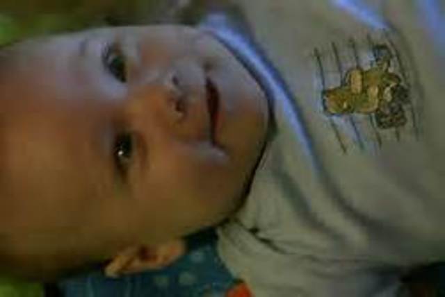 Cognitive/Intellectual