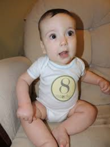 8 months physical, gross-motor, fine-motor, cognitive