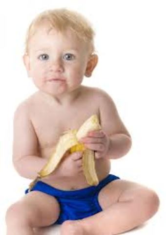 9 months physicaal, gross-motor, fine-motor, cognitive