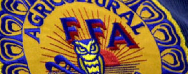 Fui a lo Indiana por FFA