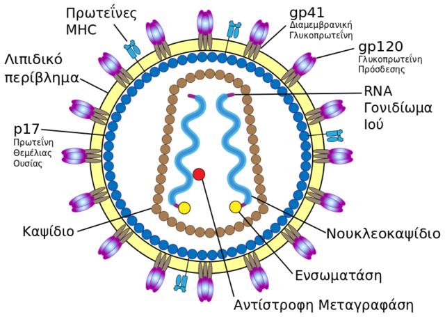 Ανακάλυψη του HIV