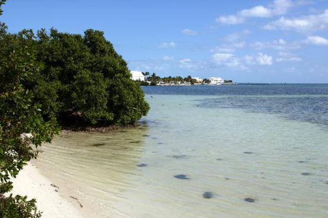 Yo fuí al Florida para mis vacacciones.