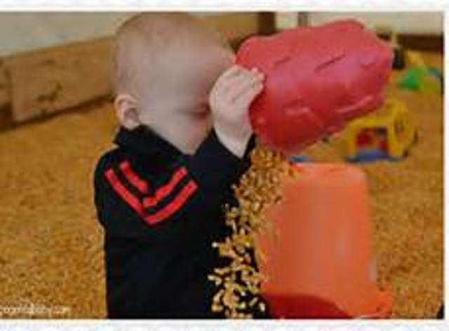 Cognitive/Intellectual