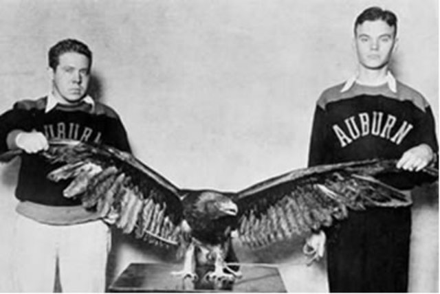 Popularity in the South