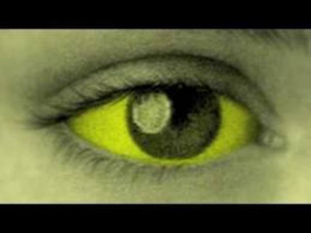 Enjoyable Scholastic Reading