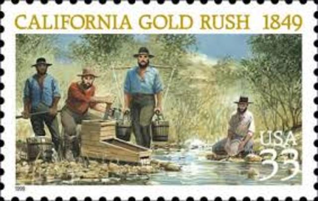 CA Gold Rush