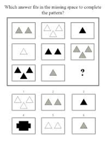 Stanford-Binet Intelligence Test