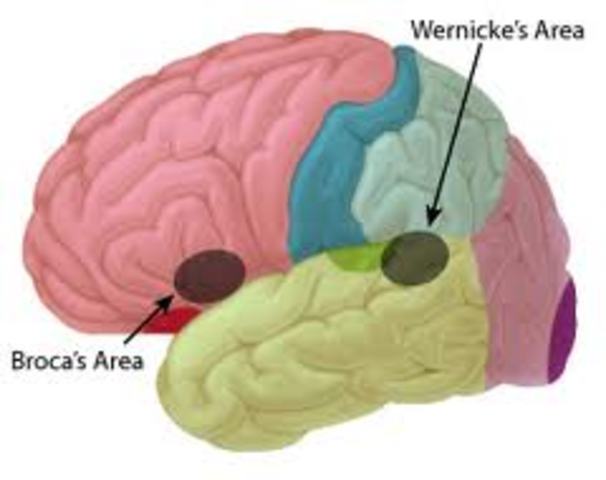 American Psychological Association Founded