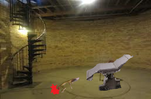 Seeing the Psychiatrist