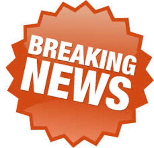 Page 2: The daily news