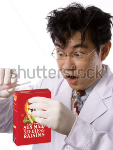 Born and Raisin the USA