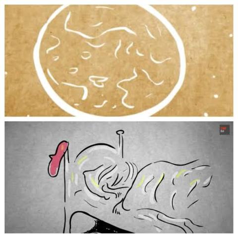 Back to the real world