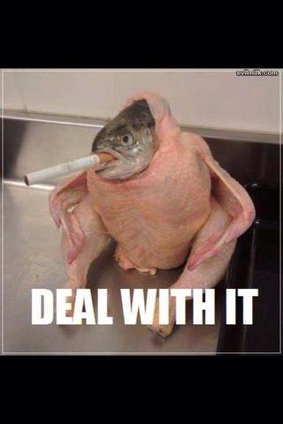 Die Wiedervereinigung