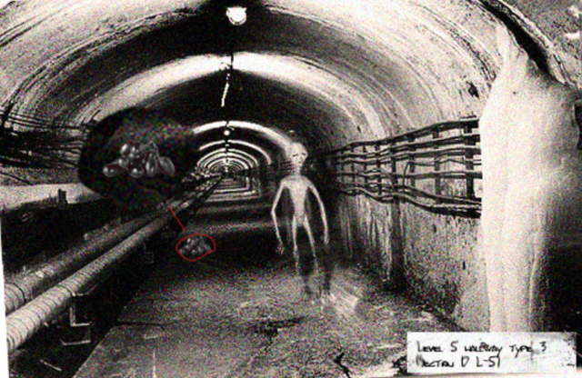 Escape of the Grapes