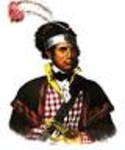 Alexander McGillavray