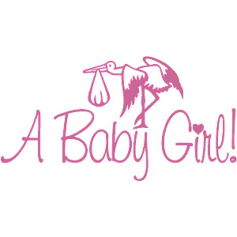 Susan B. Anthony's Birth