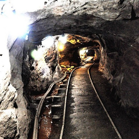 Dalone Georgia Goldrush