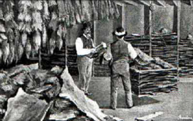 Fur Trade - Economics