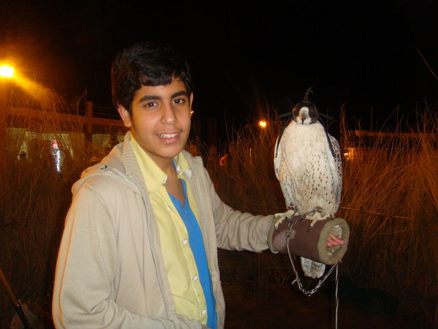 Beggining of the Genital Stage. (According to Sigmund Freud)