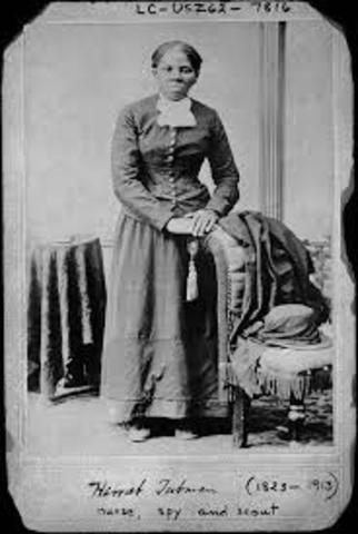 She  enrolled in the Union army and worked as a spy, scout and nurse.