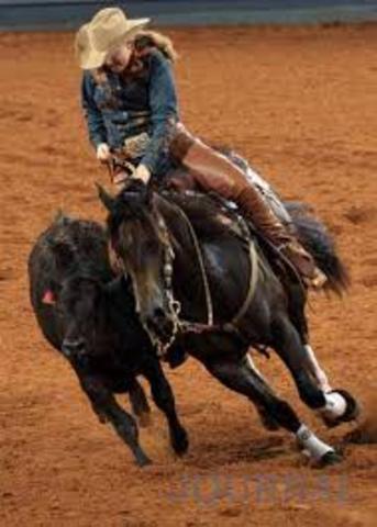 First Working Cow Clinic