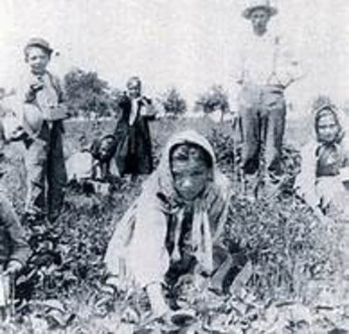 A million immigrants