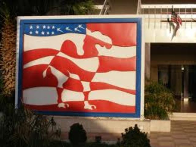 Cognitive Development