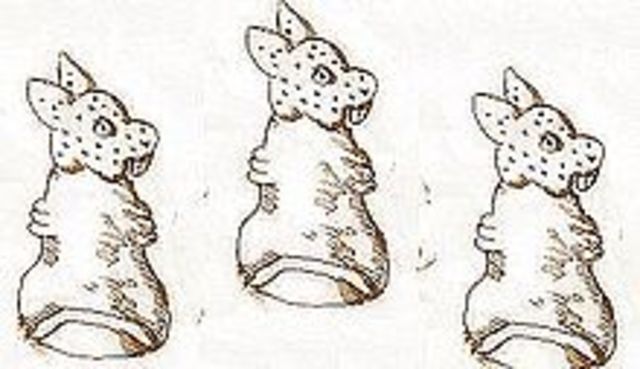 Campañas en Tuxtepec y Coatzacoalcos