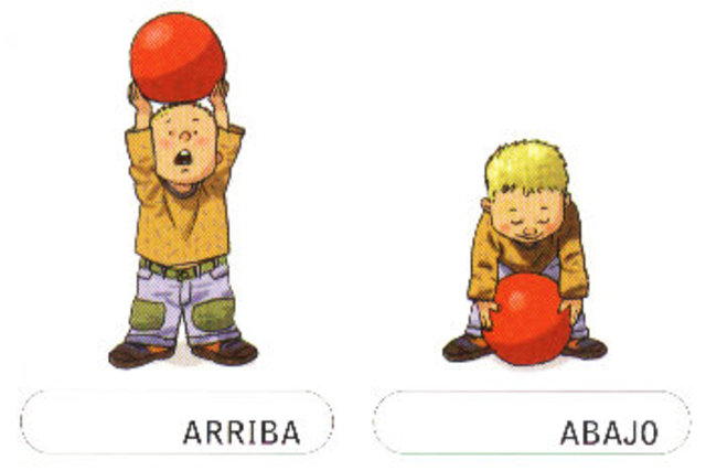 Desarrollo del pensamiento Lógico matemático