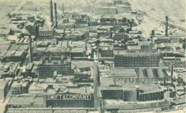 The Animal Slaughter