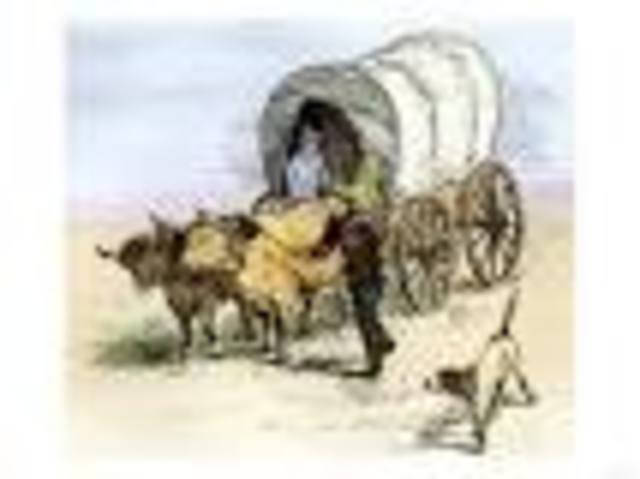 Art/Architecture: Prairie Schooners