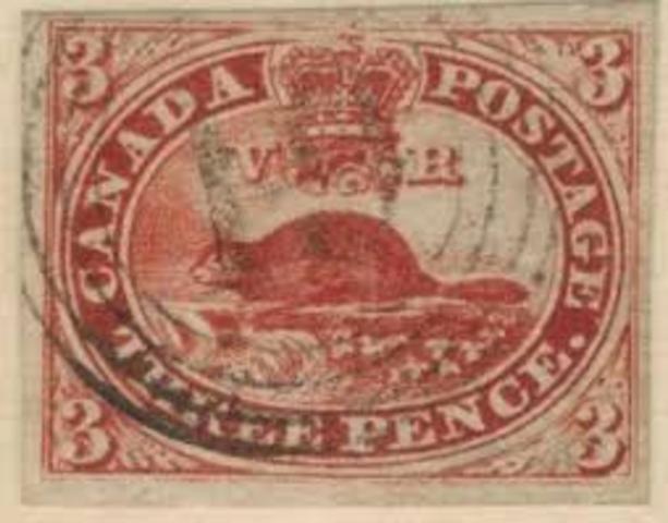 Designed Canada's first postage stamp, called the Three Pence Beaver